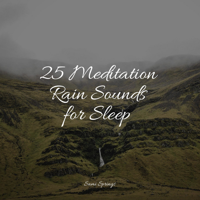 25 Meditation Rain Sounds for Sleep - Album by Rain and Nature | Spotify