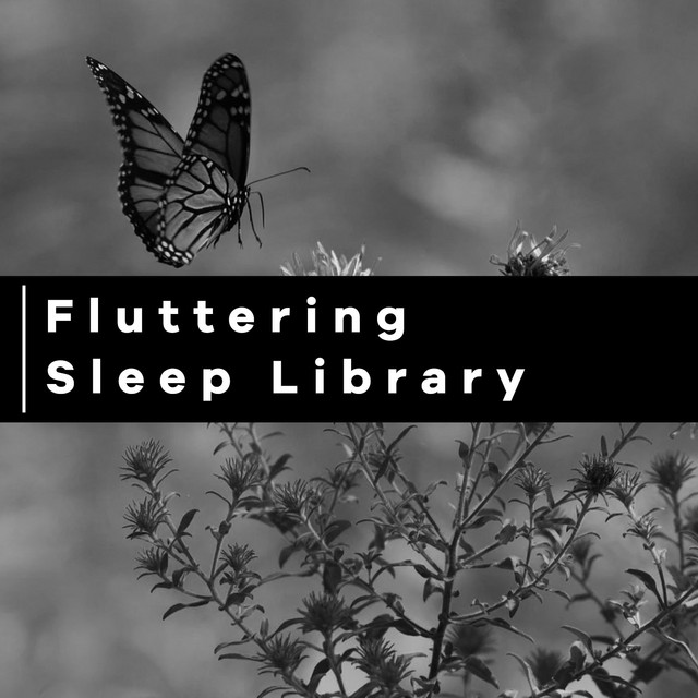 Fluttering Sleep Library ! ! ! ! - Album by Sleep Sound Library | Spotify