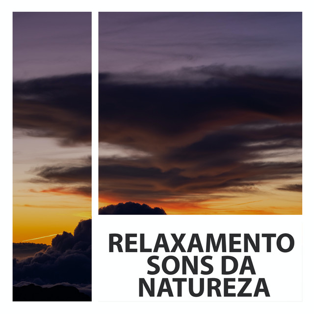 Relaxamento Sons Da Natureza cover art