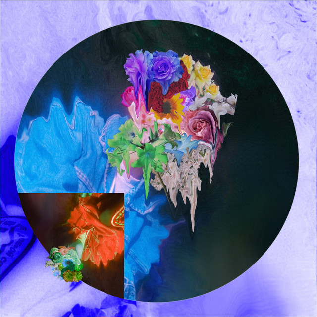 Hollow cover art