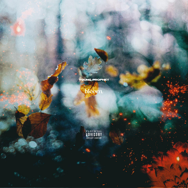 Bloom cover art