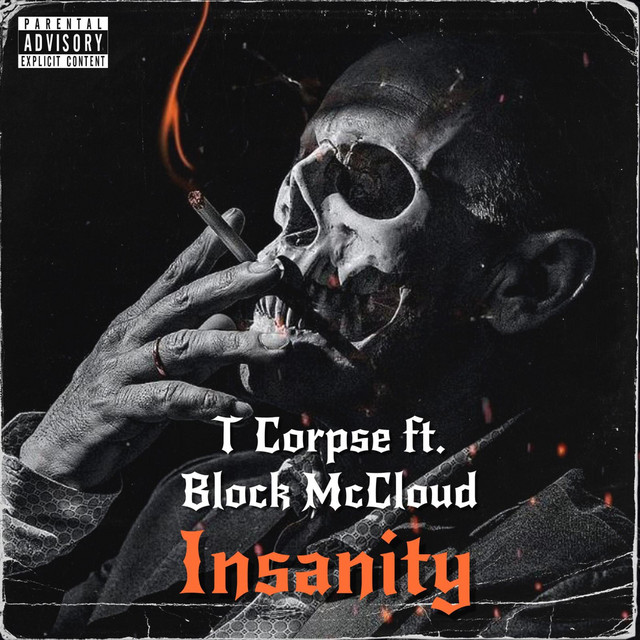 Insanity cover art