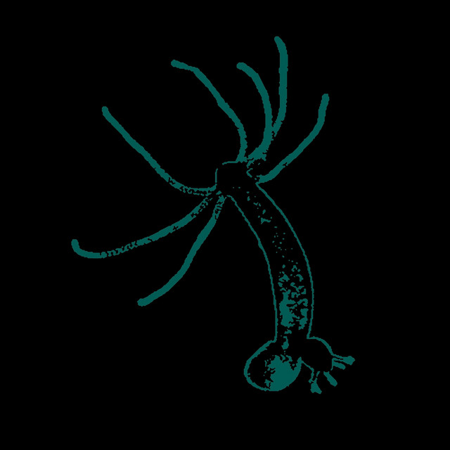 Hydra cover