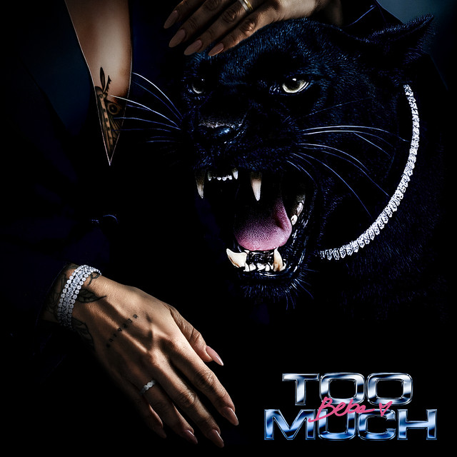 TOO MUCH cover art