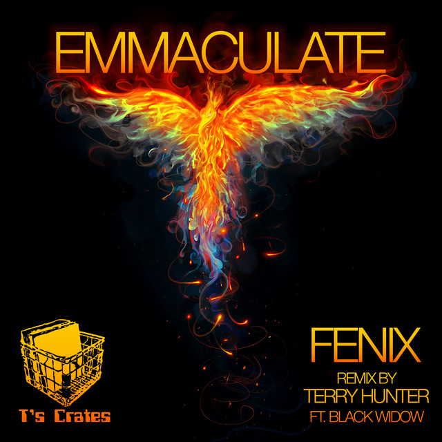 Fenix - Emmaculate Acid Mix cover art