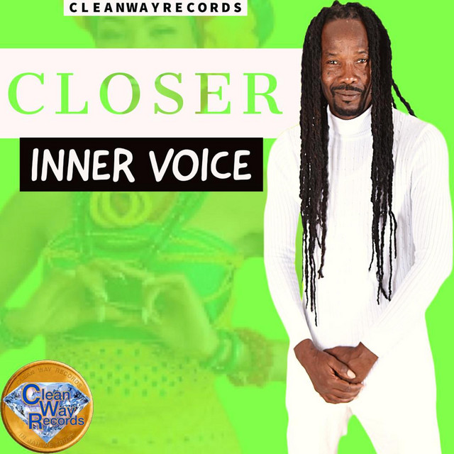Closer cover