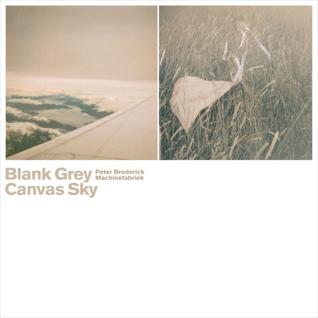 Blank Grey Canvas Sky cover art