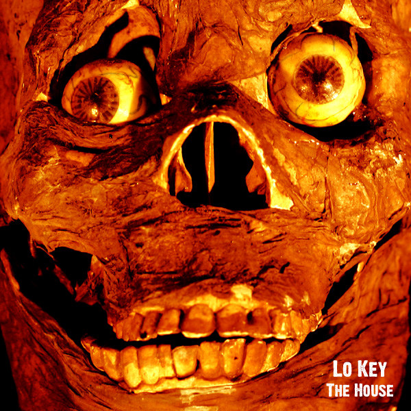 The House cover art