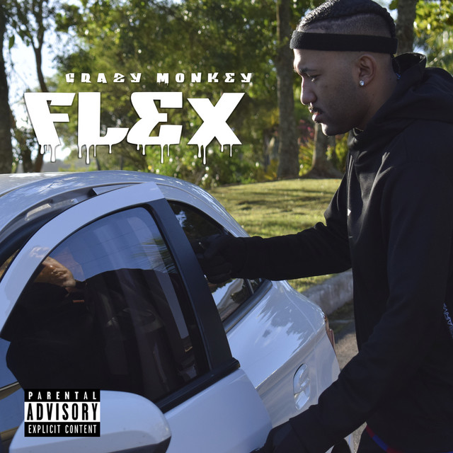 Flex cover art