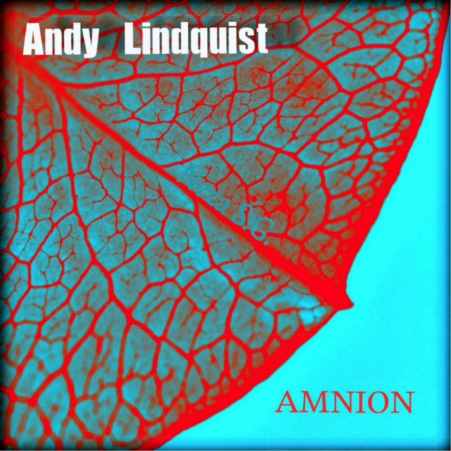 Amnion cover art
