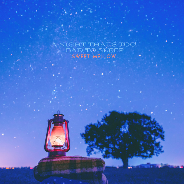 A Night That's Too Bad to Sleep cover art