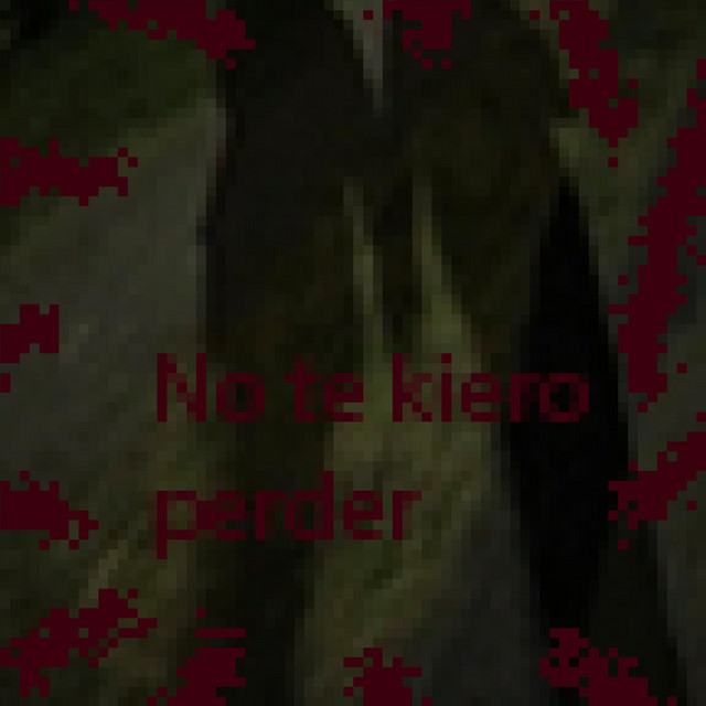 No te kiero perder