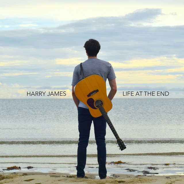 Life at the End cover art