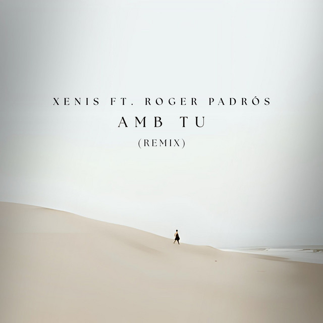 Amb tu (Remix)