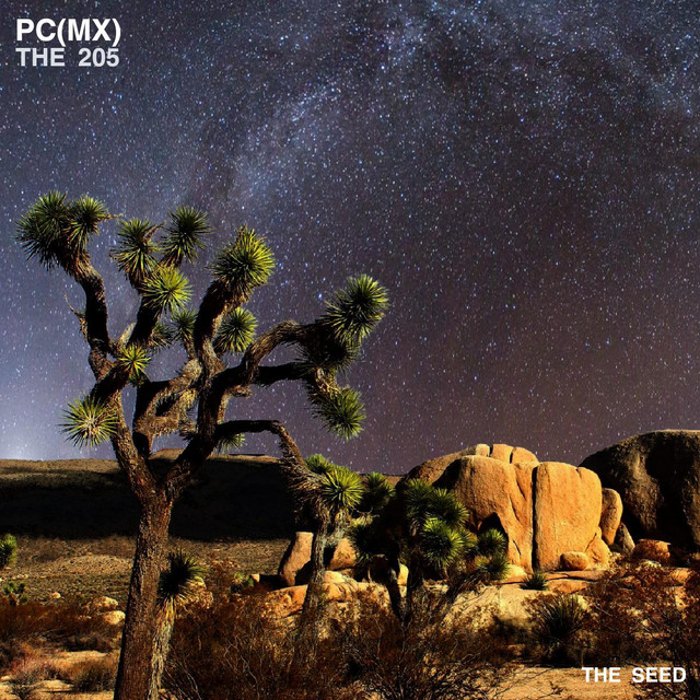 The 205 cover art