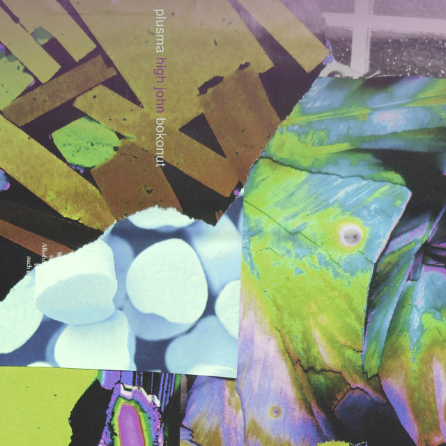 Bokonut cover art