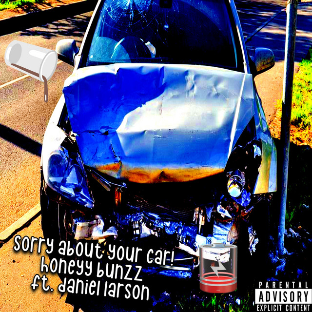 Sorry About Your Car!