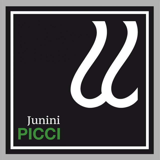 Junini cover art