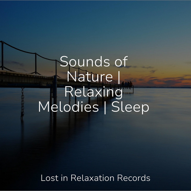 Sounds of Nature | Relaxing Melodies | Sleep - Album by Reiki Music ...