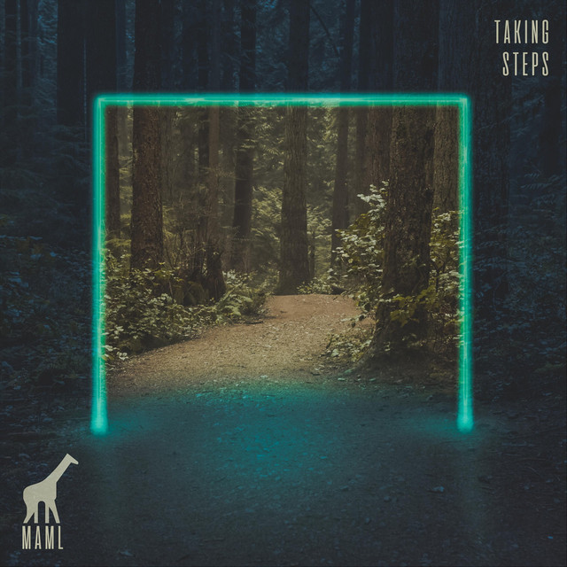 Taking Steps cover art