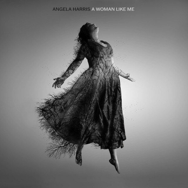 A Woman Like Me cover