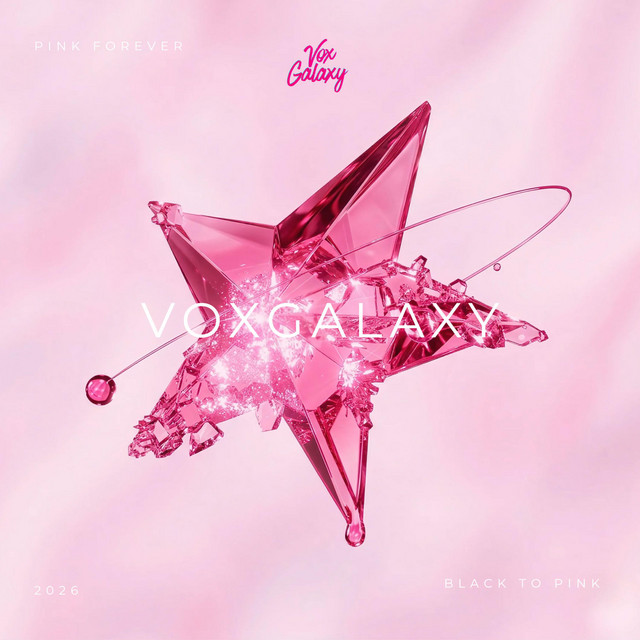 VOXGALAXY