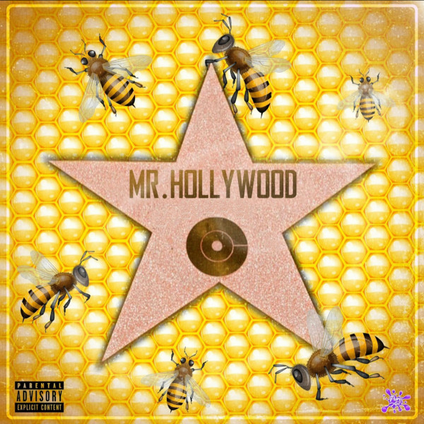 MR. HOLLYWOOD cover art