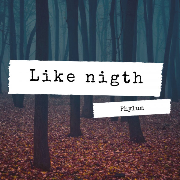 Like nigth cover art