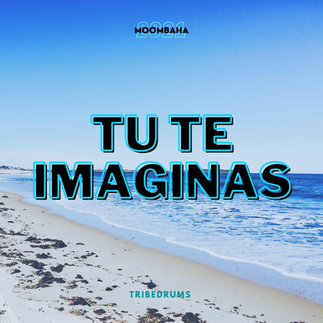Tu Te Imaginas