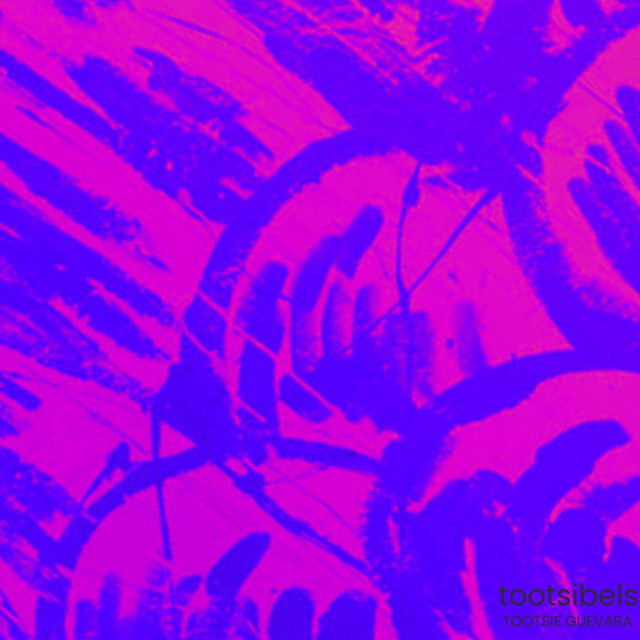 tootsibels cover art