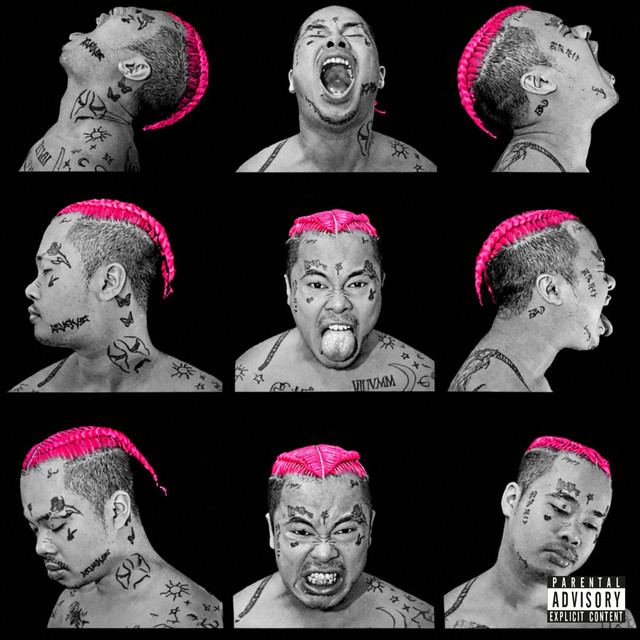 P!NK cover art