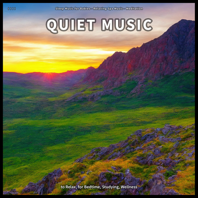 ! ! ! ! Quiet Music to Relax, for Bedtime, Studying, Wellness cover art