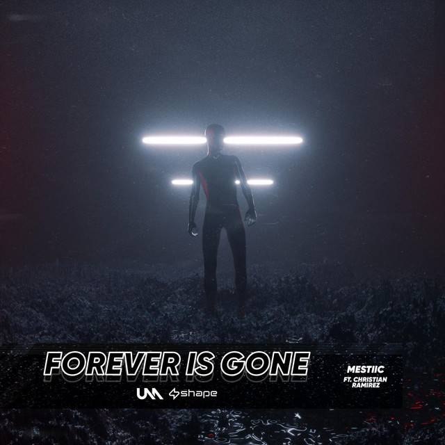 Forever Is Gone