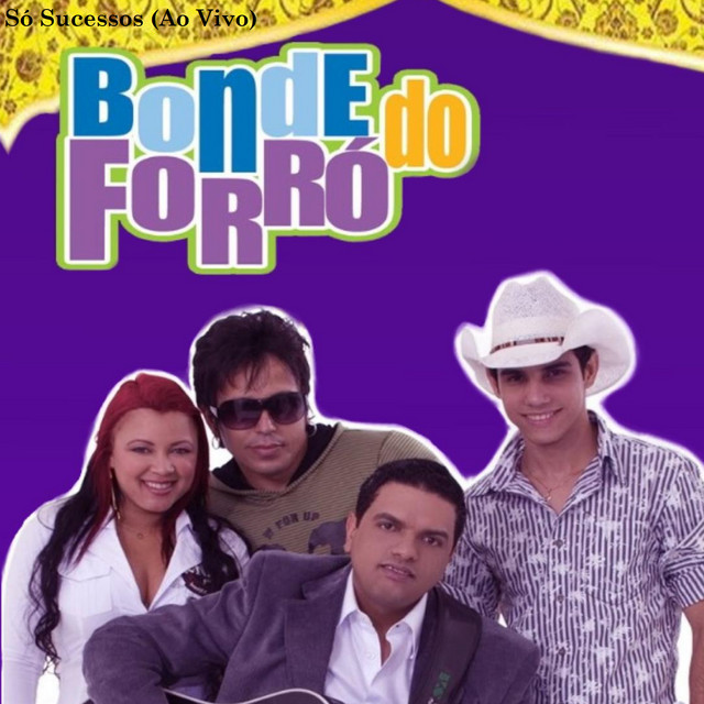 Só Sucessos (Ao Vivo) cover art