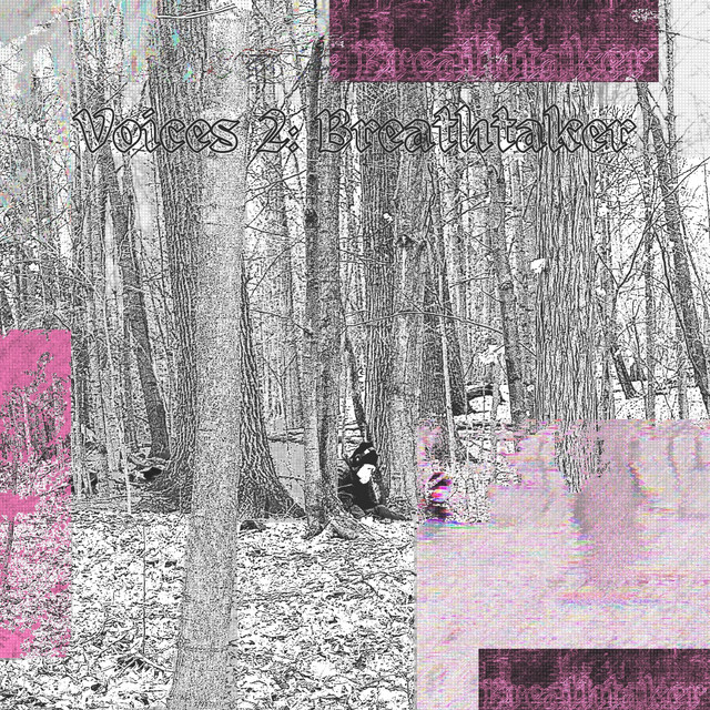 Voices 2: Breathtaker cover art