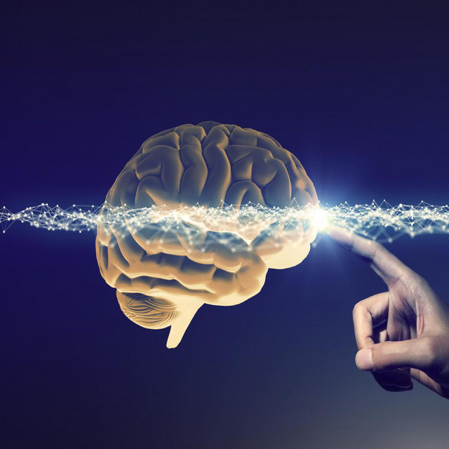 MarHam - Brain touch