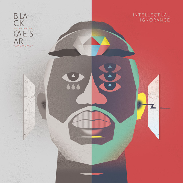 Intellectual Ignorance cover art