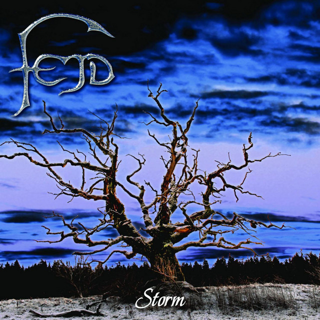 Storm cover art