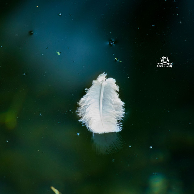 Conscious Breathing album image