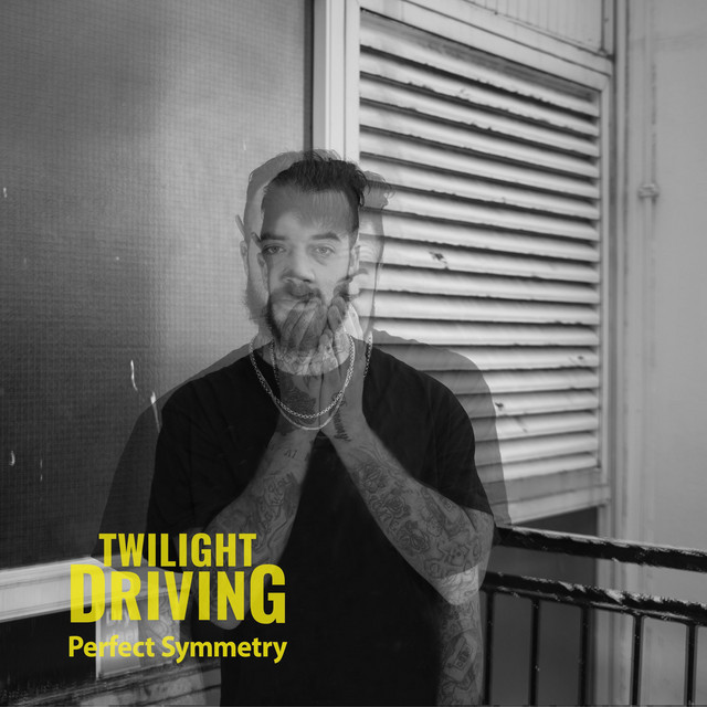 Perfect Symmetry cover