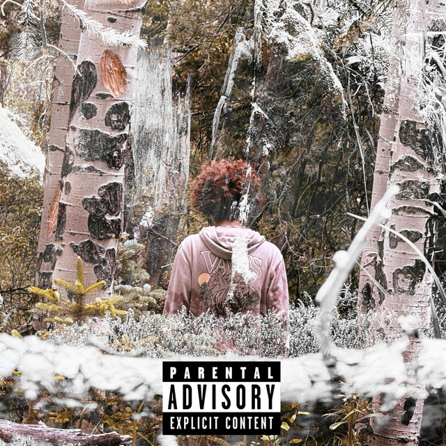 rebirth. cover art