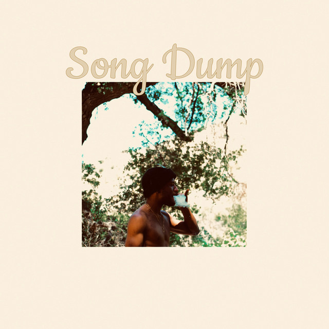 Song Dump cover art