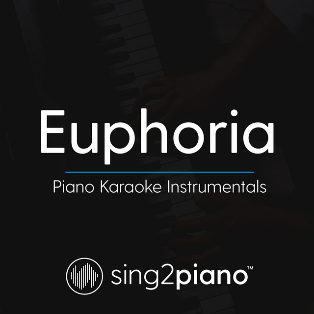 Euphoria (Lower Key) [Originally Performed by BTS] - Piano Karaoke Version