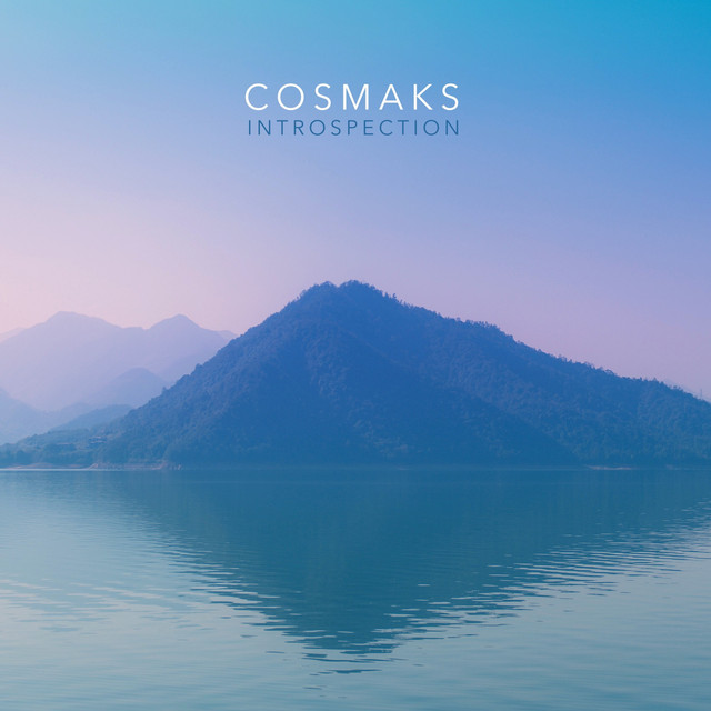 Introspection cover art