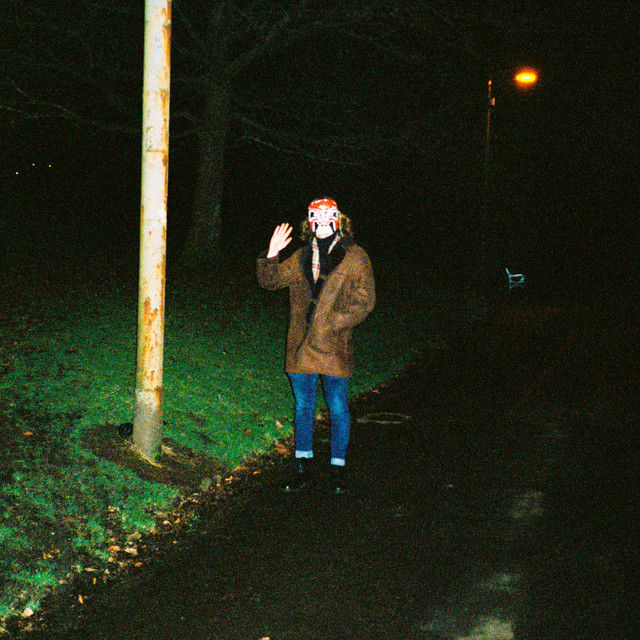 Pochette du titre Fruitflies
