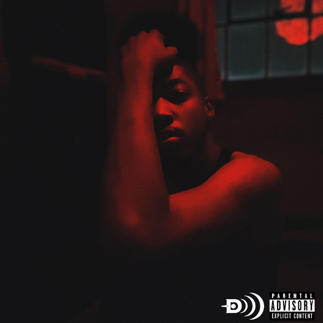 Thank You For The Pain (EP) cover