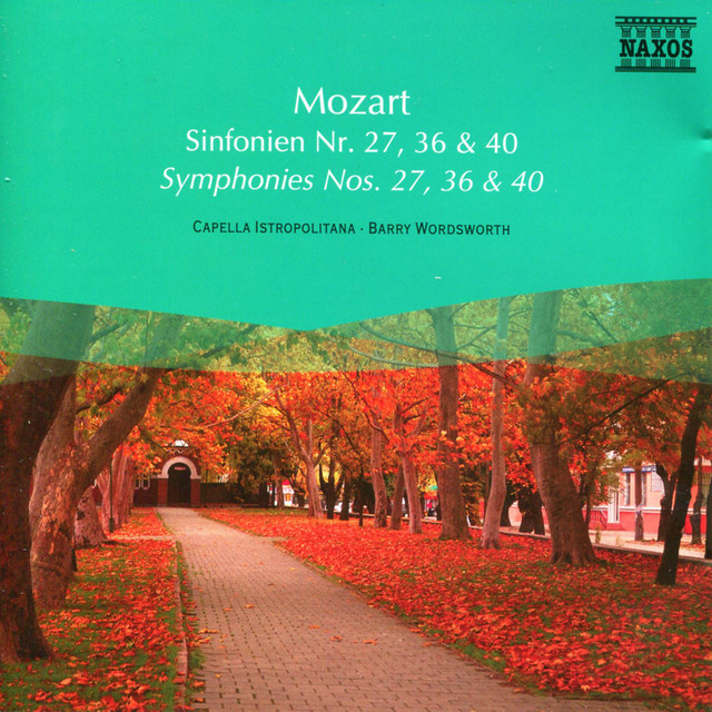 Symphony No. 40 in G Minor, K. 550: I. Allegro molto