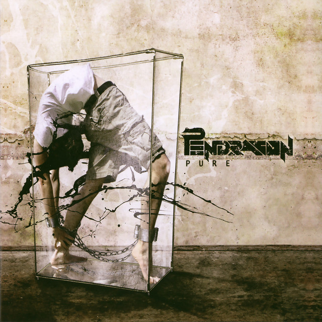 Pure cover art