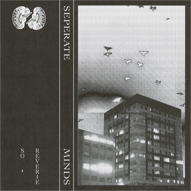 Cover du titre Separate Minds