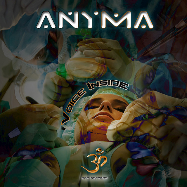 Voice Inside cover art